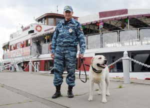 Ведомства продемонстрировали слаженную работу, все мероприятия прошли по плану. Фото: Александр Кожохин, "Вечерняя Москва"