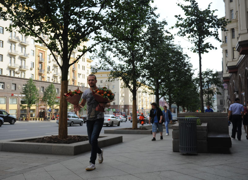 На позднюю осень в рамках программы «Моя улица» намечена высадка деревьев на Садовом кольце. Фото: Александр Кожохин, "Вечерняя Москва"