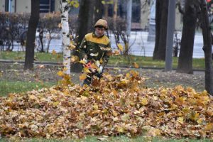 «Активные граждане» решат, требуется ли регулярная уборка листьев или необходимо заняться ими после зимы. Фото: «Вечерняя Москва»
