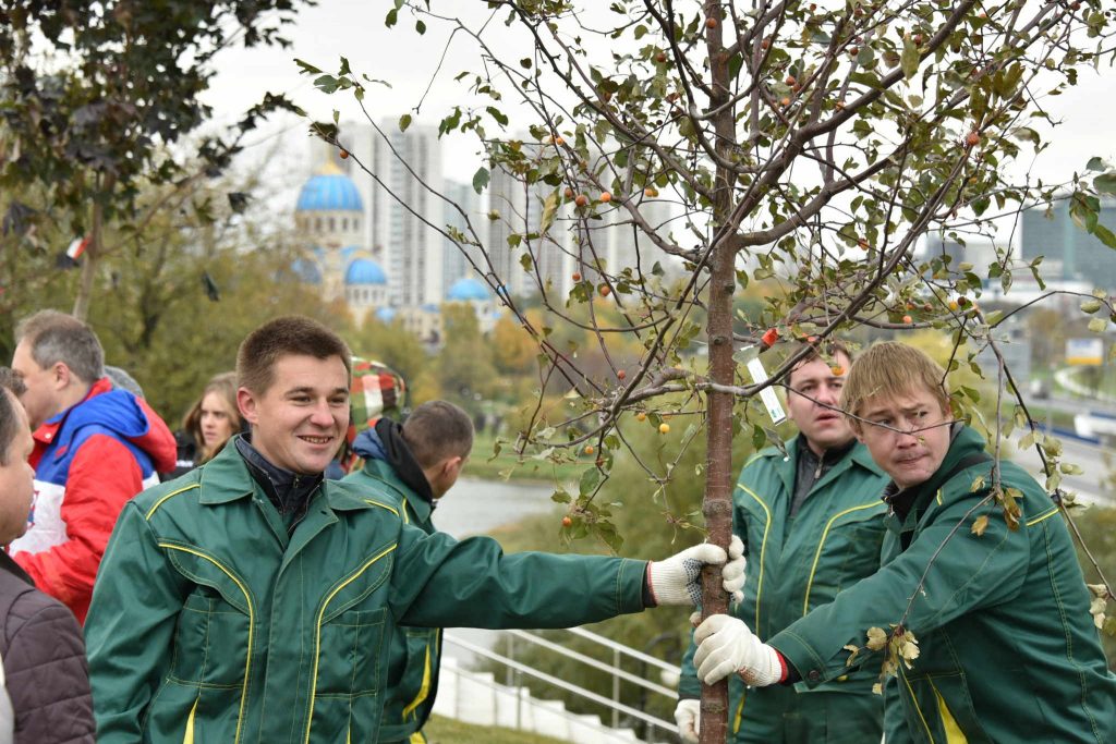 Более пяти тысяч деревьев высадят в центре Москве к зиме