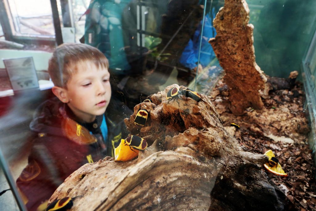 Власти одобрили реконструкцию Детского зоопарка в центре Москвы