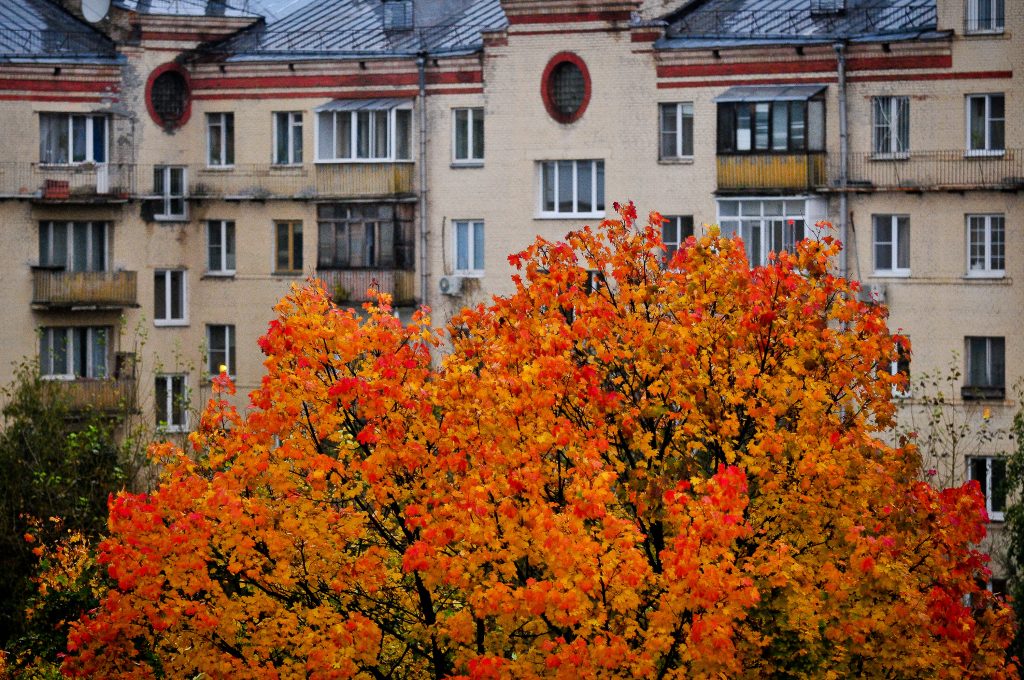 Синоптики: 12 октября в Москве стихнет ветер