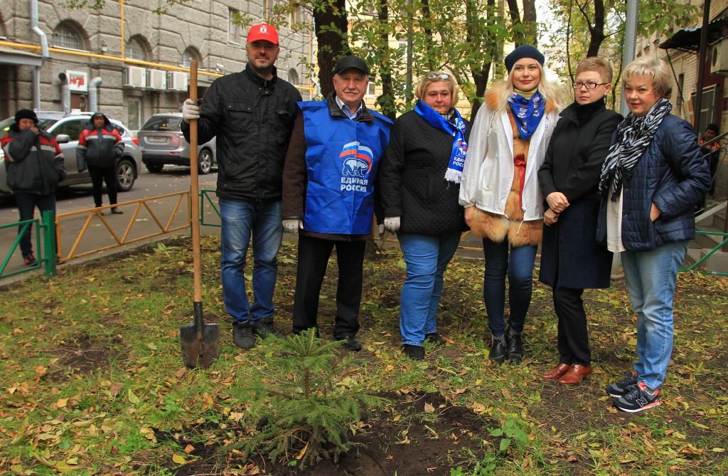Дворы Красносельского района украсят 50 новых елок