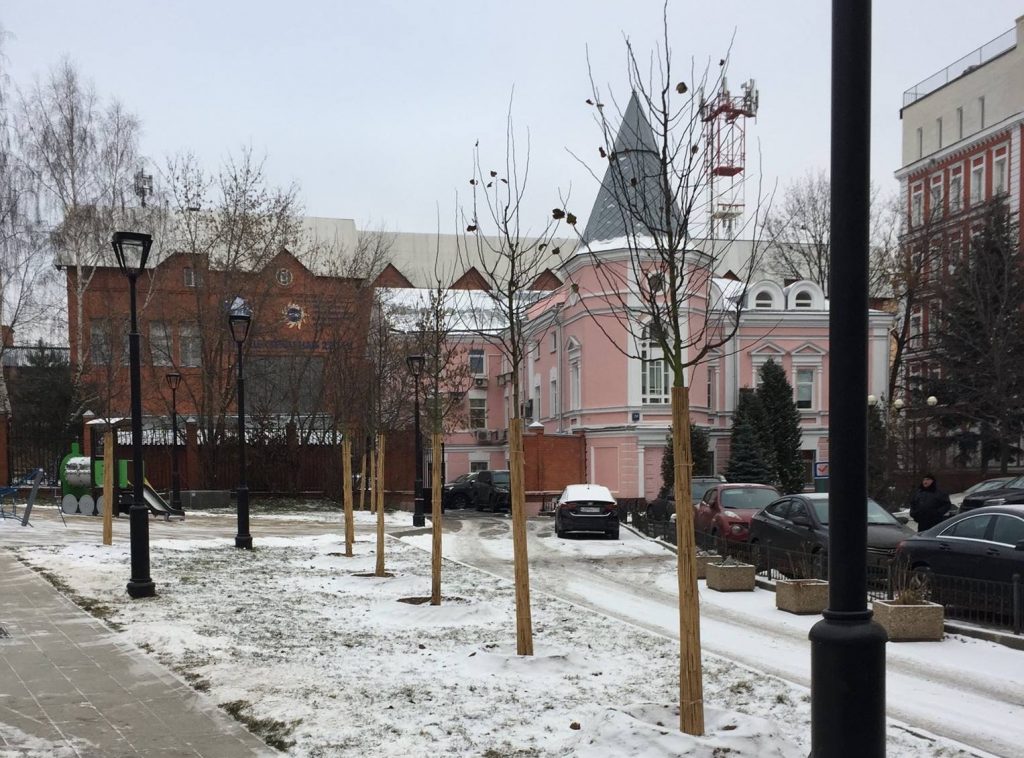 Более 100 новых деревьев и кустарников высадили в Мещанском районе