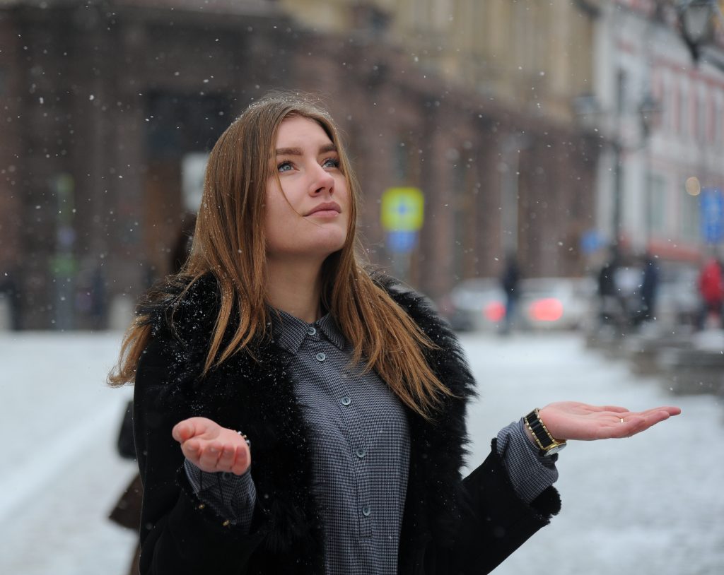 Шведские ученые нашли полую снежинку с хоботком