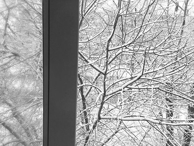 В Югорске абсолютно все деревья зимой одеваются в белые шубки. Фото: архив, «Вечерняя Москва»