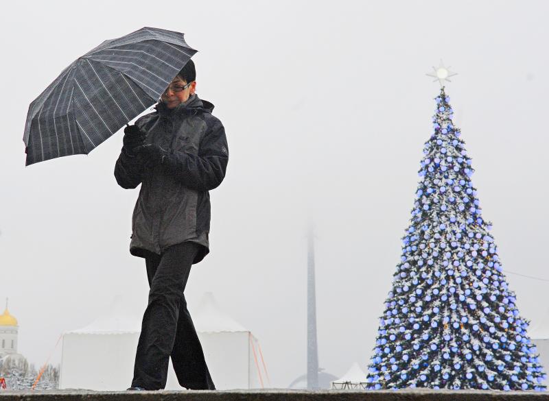 Теплая погода установится в Москве на Рождество