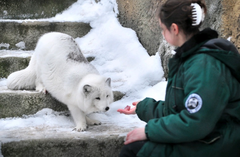 Московский зоопарк получил зарубежный грант на тысячи франков