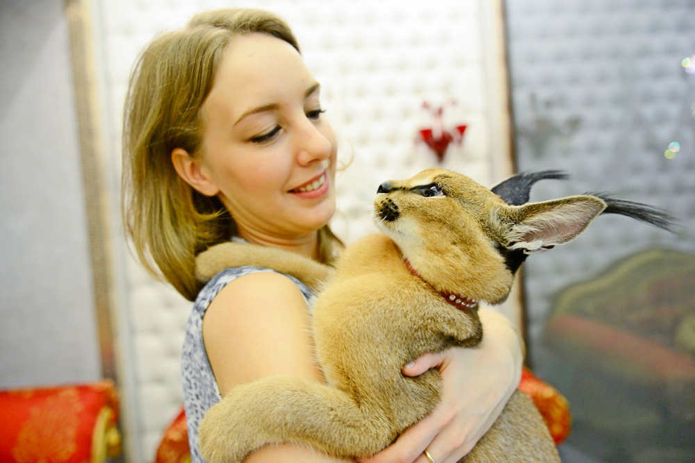 Московский зоопарк запустит курсы для владельцев домашних животных