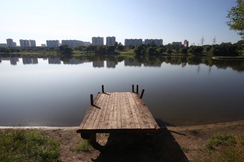 Реконструкция комплекса Оранжерейных прудов в «Царицыно» начнется в 2019 году. Фото: "Вечерняя Москва"