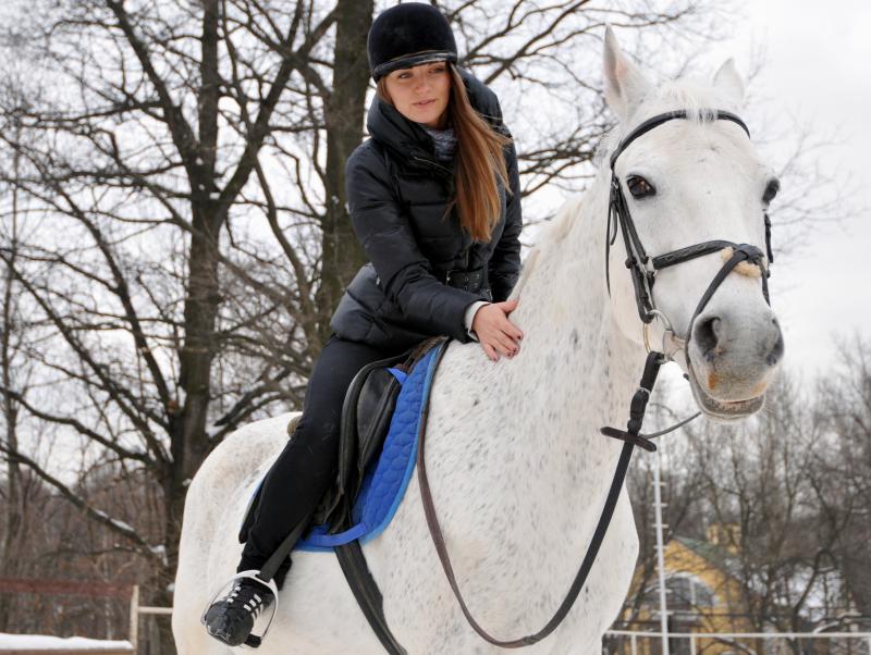 Работу круга катания на лошадях приостановили в Московском зоопарке на три дня