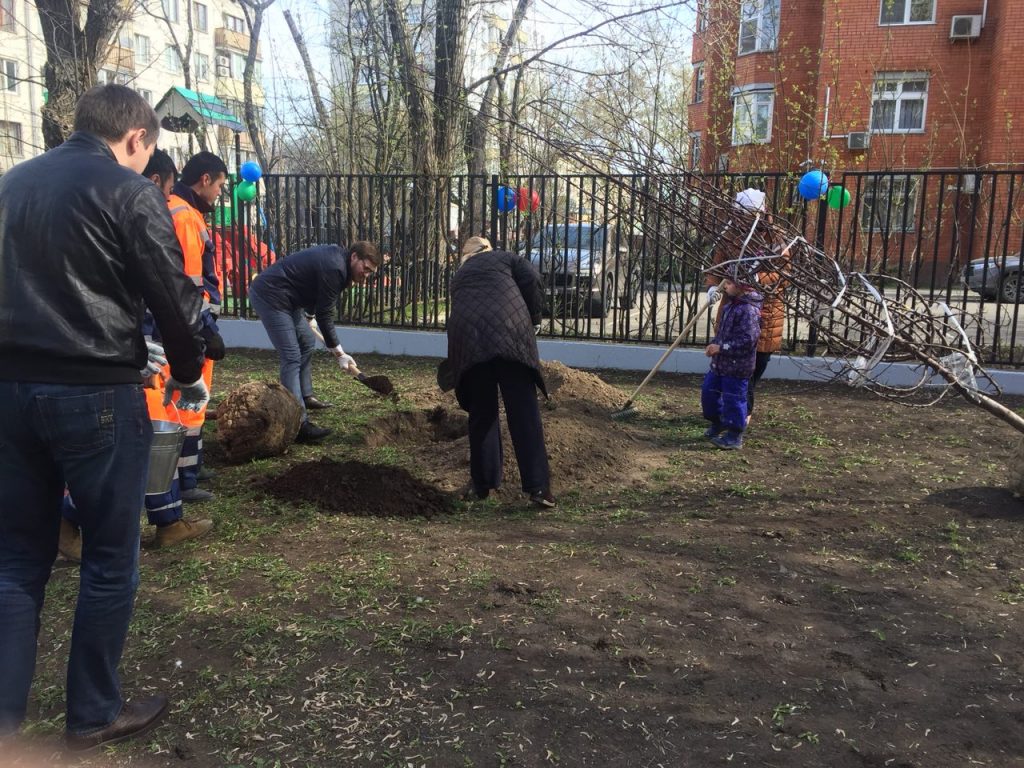 Растения в рамках акции «Миллион деревьев» посадили на Татарской улице