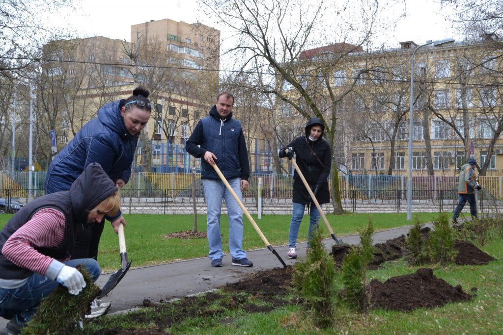 Двор Мещанского района озеленили по программе «Миллион деревьев»