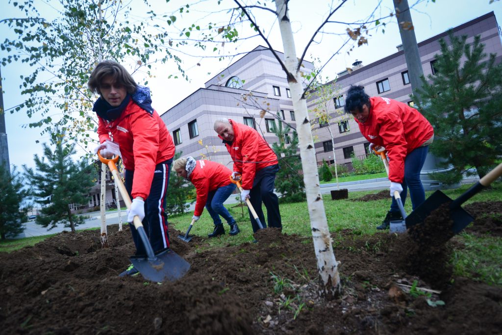 «Миллион деревьев» в десятый раз: активные граждане приняли участие в юбилейном сезоне озеленения