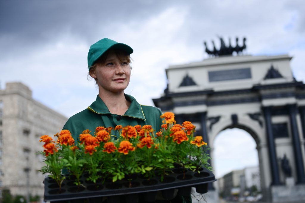 На улицах Москвы появится почти 50 миллионов новых цветов