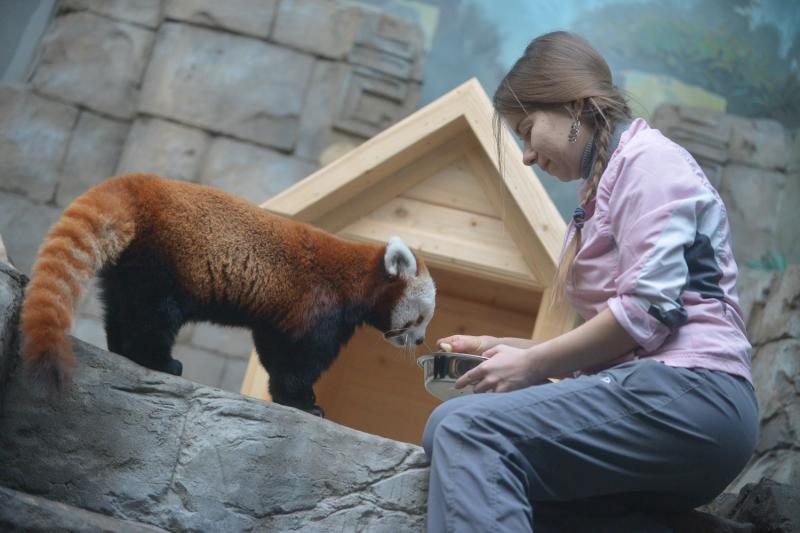 Гости зоопарка в Москве смогут кормить животных спецкормом