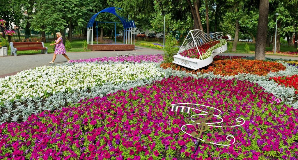 На особо охраняемых территориях Москвы высадят 700 тысяч цветов