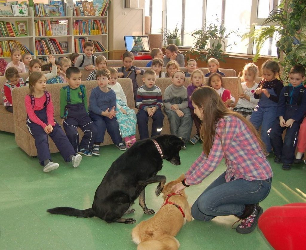 Лекцию о собаках-космонавтах прочитают в библиотеке имени Аркадия Гайдара. Фото: пресс-служба библиотеки