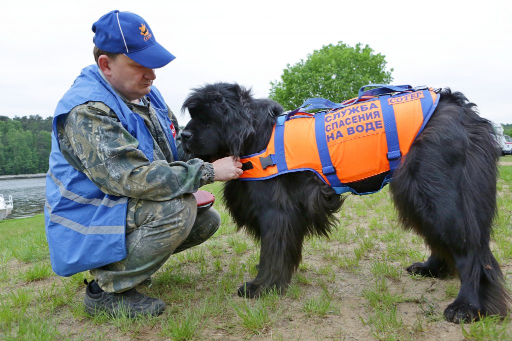 Дроны и собаки начнут следить за безопасностью на пляжах Москвы