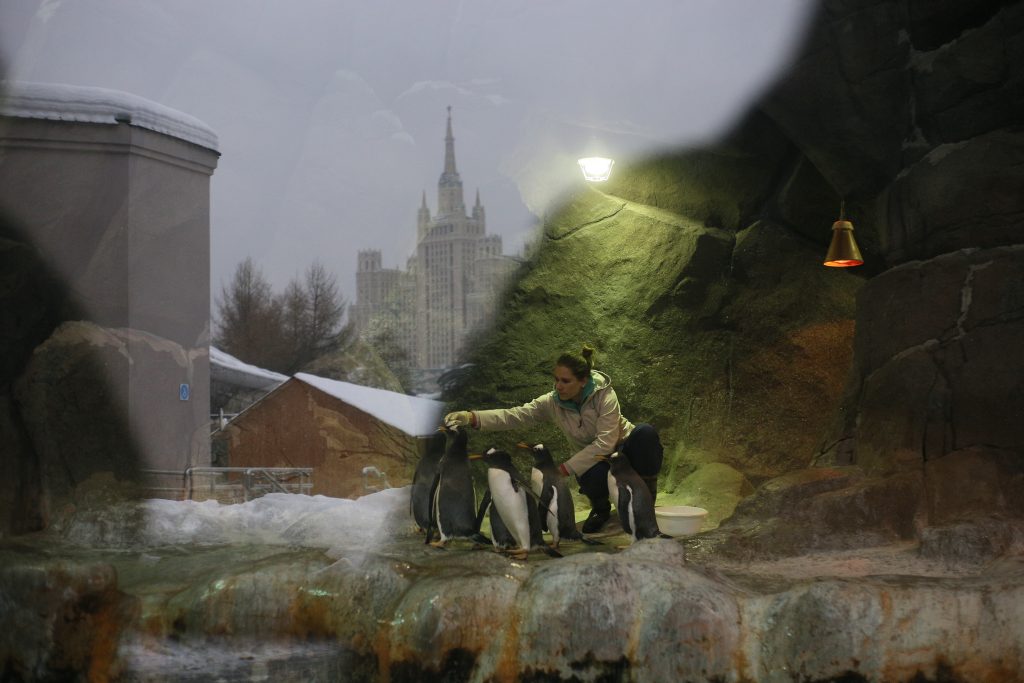 Зоопарк сократит время работы в субботу из-за непогоды 