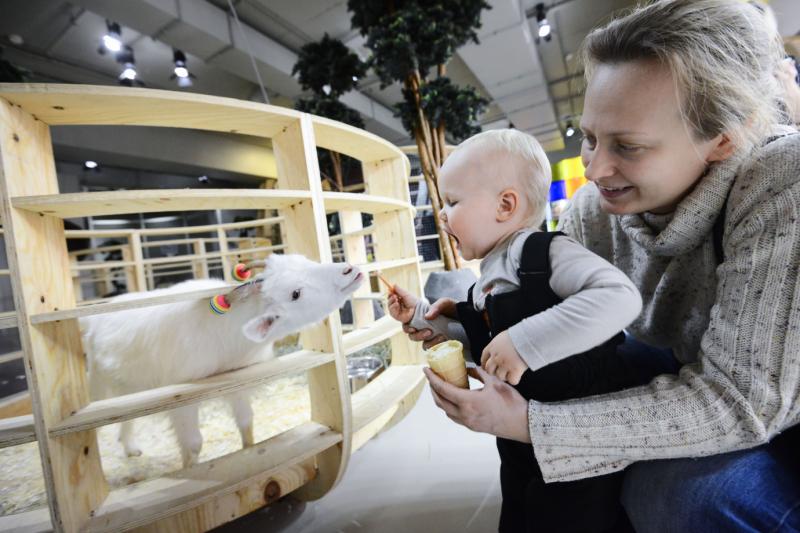 Московский зоопарк устроил праздник детям