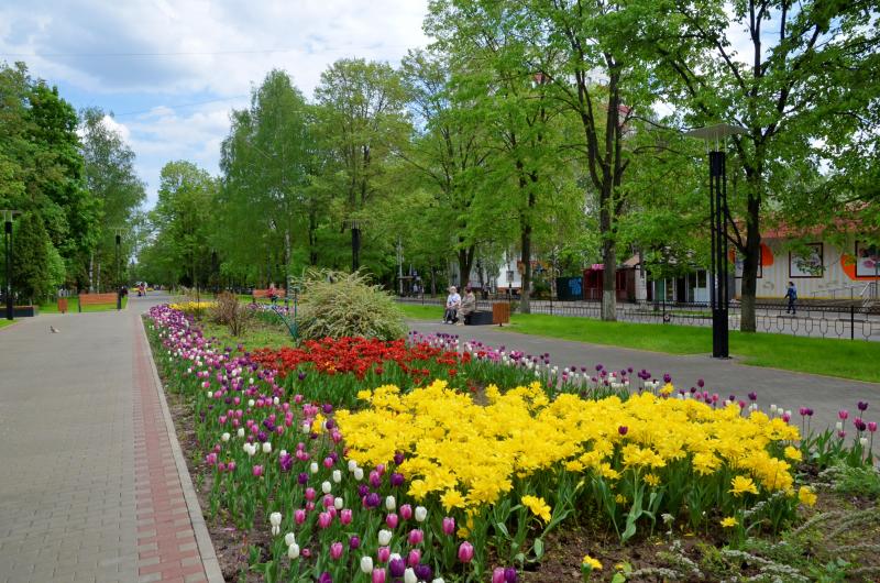 Москвичи создадут собственные цветники на фестивале «Цветочный джем»