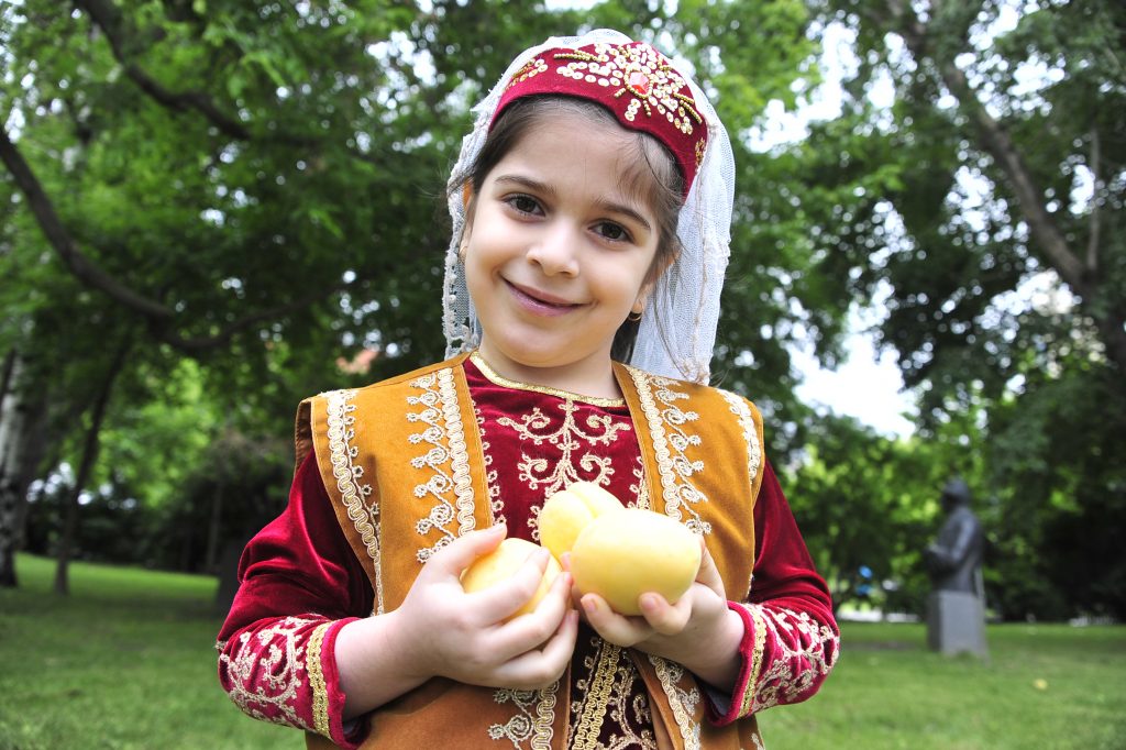 Многонациональный праздник «Абрикос» пройдет в Екатерининском парке 