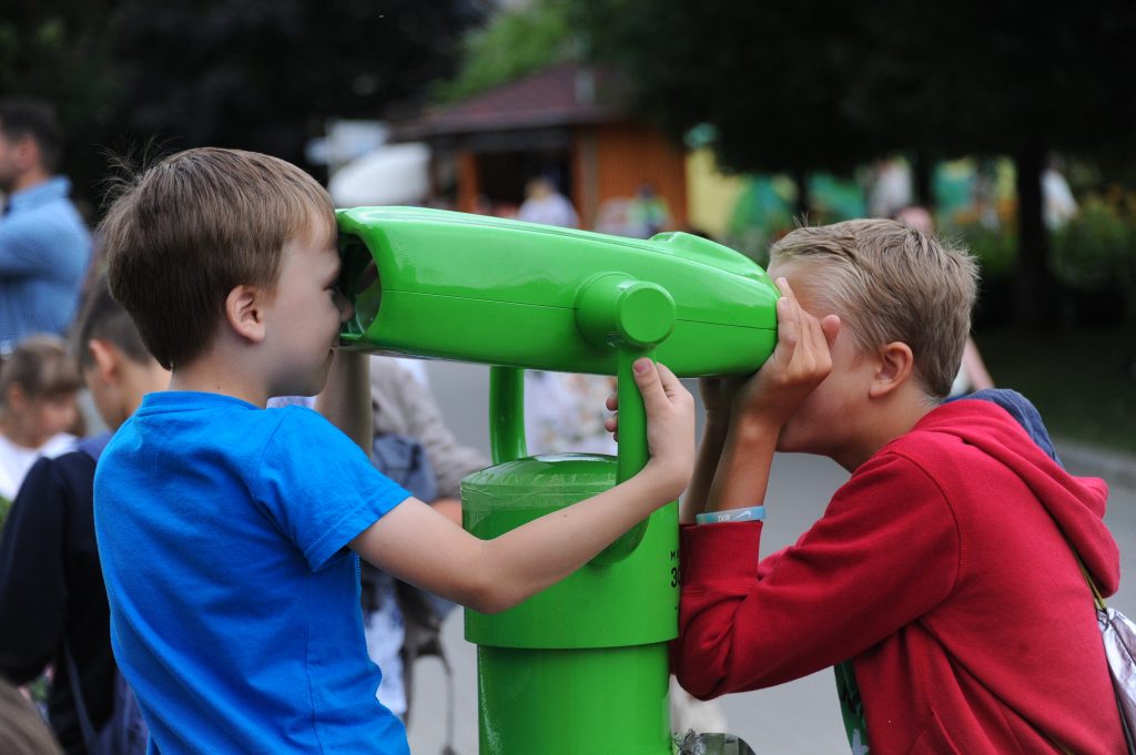 Московский зоопарк установит гнезда для детей