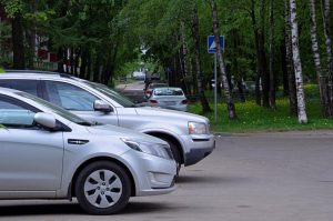 Фото: Анна Быкова, «Вечерняя Москва» 