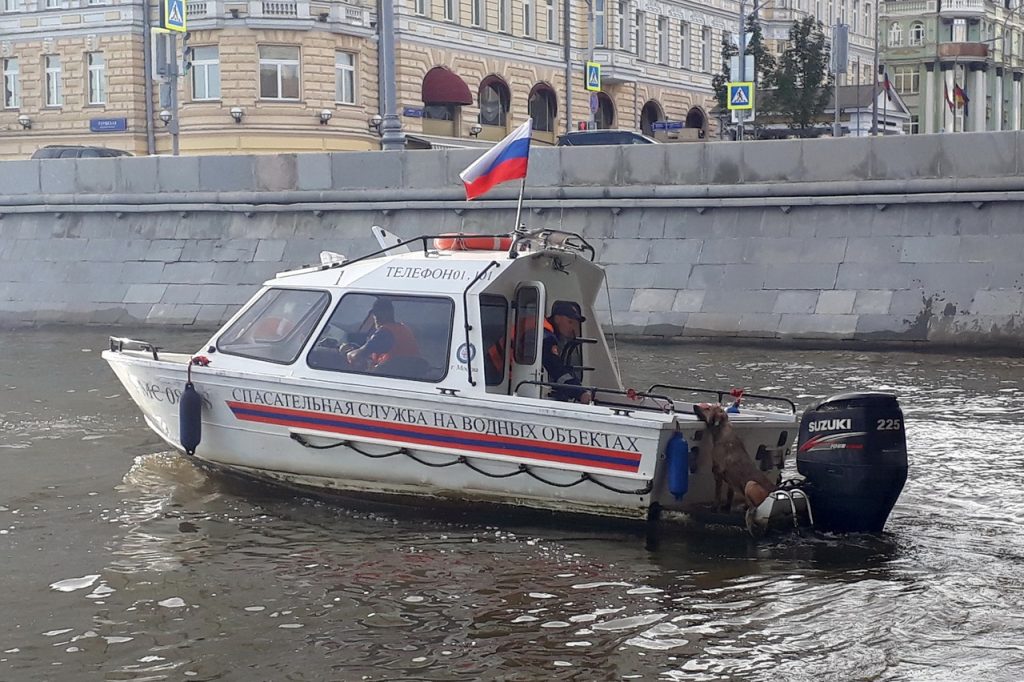 Спасатели вытащили из воды тонущую в реке собаку