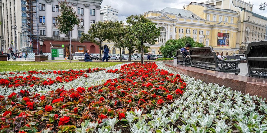 Три выставочных сада появятся на улице Новый Арбат. Фото: сайт мэра Москвы
