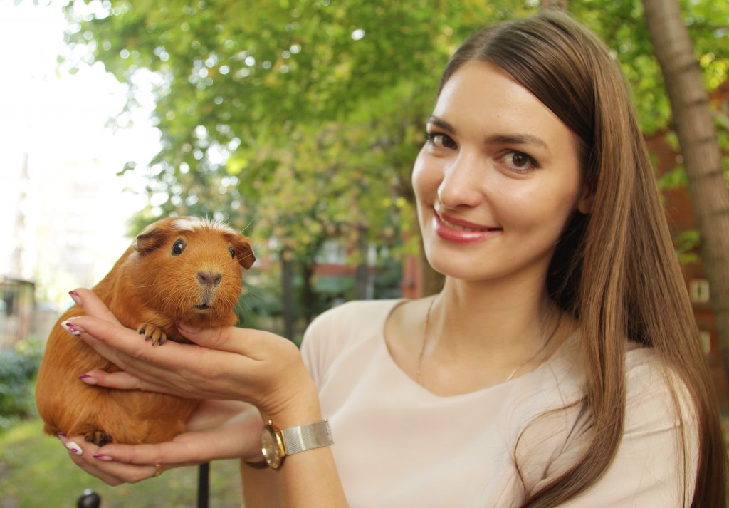 15 сентября 2018 года. Оксана Савенкова со своим питомцем – морской свинкой по кличке Вишня