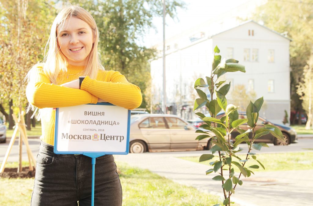 Корр «МЦ» Илона Соболева с табличкой, установленной у вишни. Фото: Наталия Нечаева, «Вечерняя Москва»