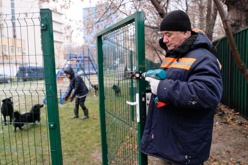 Дежурный отвечает: площадку для выгула собак в порядок привели. Фото: Максим Аносов, «Вечерняя Москва»