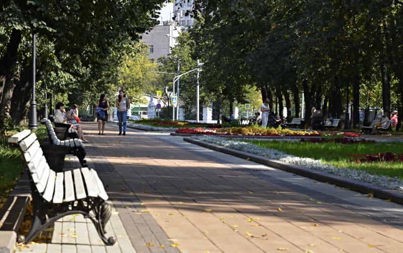 Памятник Николаю Склифосовскому установят в столице