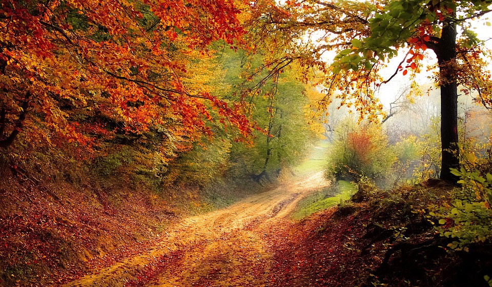 Болдинская осень. Фото: pixabay.com