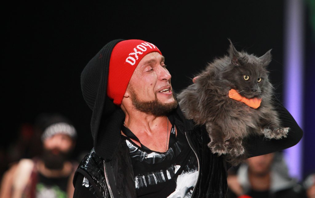 Фотофакт: неделя моды Моды в Москве с котом