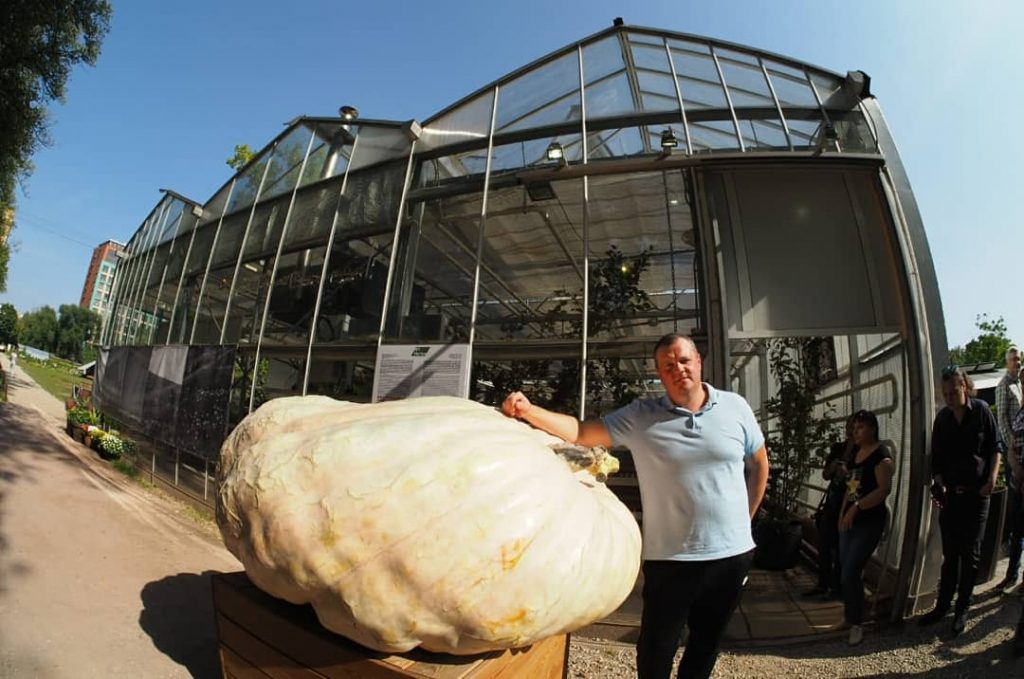 Тыквенное Величество Дуся: овощ весом около 600 килограммов торжественно вскроют. Фото предоставили в пресс-службе Аптекарского огорода