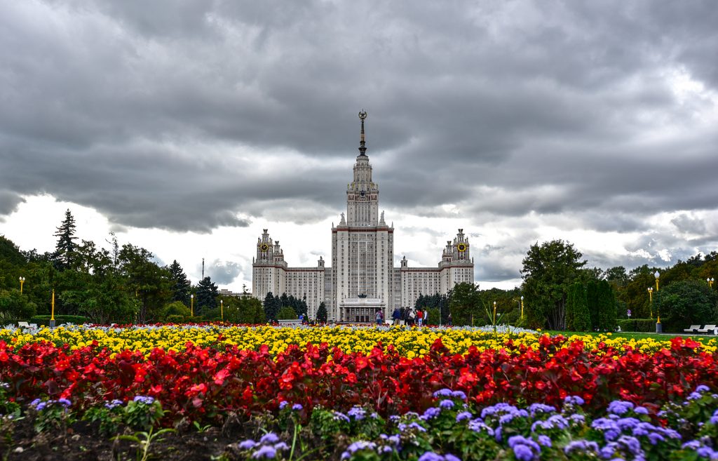 За девять месяцев в Москве высадили более 2,5 миллиона цинерарий