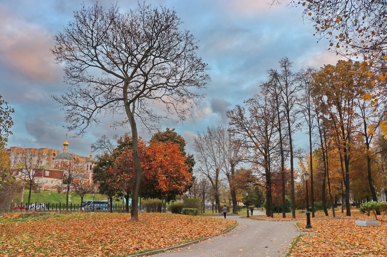 Царицыно парк деревья осень