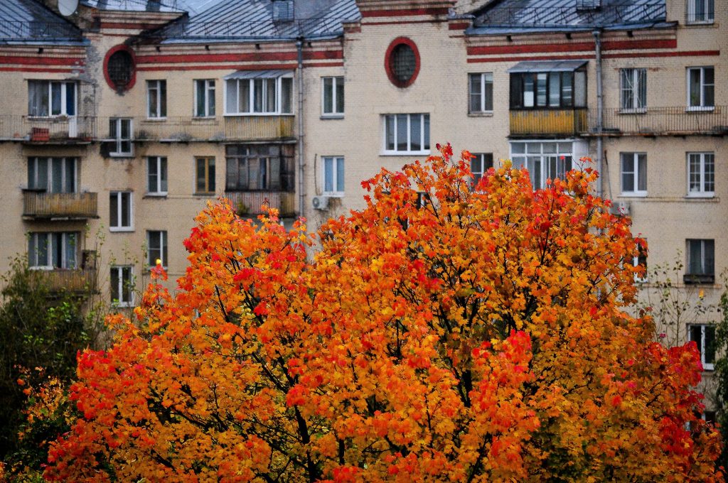 Жителей Москвы предупредили о «желтом» уровне опасности 4 октября из-за погоды