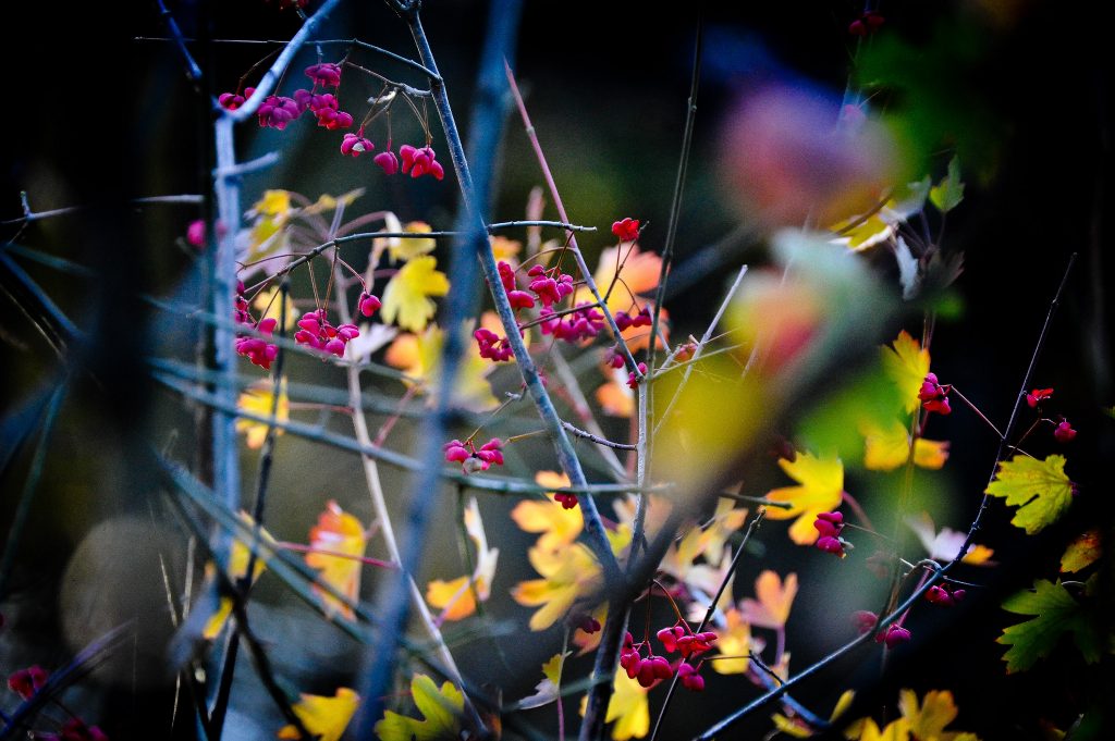 Осень возвращается в привычное русло. Фото: Александр Казаков