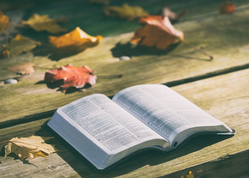 Лекция о Библии состоится в библиотеке имени Некрасова. Фото: pixabay.com