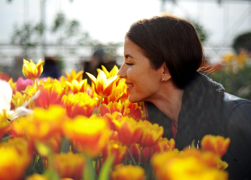Специалисты высадят в октябре тюльпаны более чем по 150 адресам. Фото: Светлана Колоскова, «Вечерняя Москва»