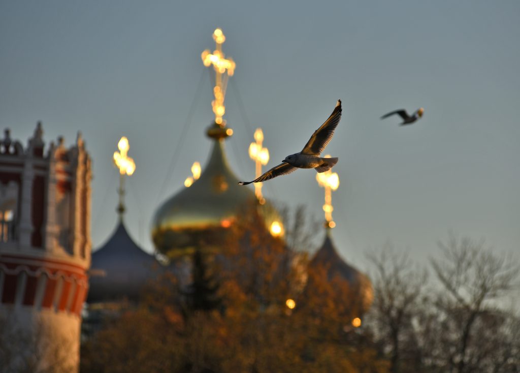 Москве пообещали 10-градусный мороз во вторник