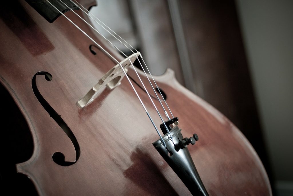 Концерт классической музыки организуют в библиотеке-читальне имени Тургенева. Фото: pixabay.com