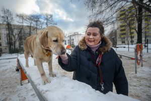 29 ноября 2018 года. Элла Жмячкина выгуливает своих собак: лабрадора Викки и кане-корсо Лори, на собачьей площадке, где по ее просьбе сделали временное покрытие. Фото: Наталия Феоктистова, «Вечерняя Москва»