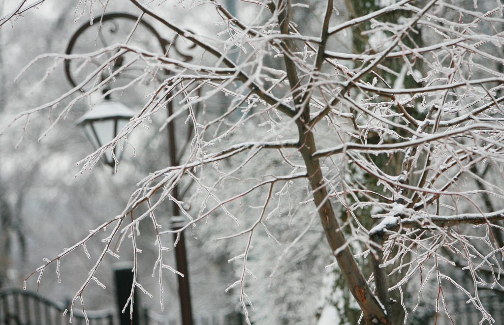 Холодный колючий зимний. Климатическая зима ноябрь. Зима одела деревья серебром. Пришла Снежная зима и одела деревья серебром. Декабрь погода небольшой снег.