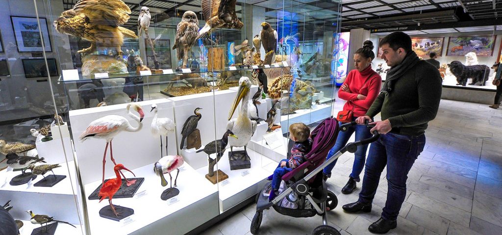 Москвичи смогут бесплатно посетить 82 музея в период праздников