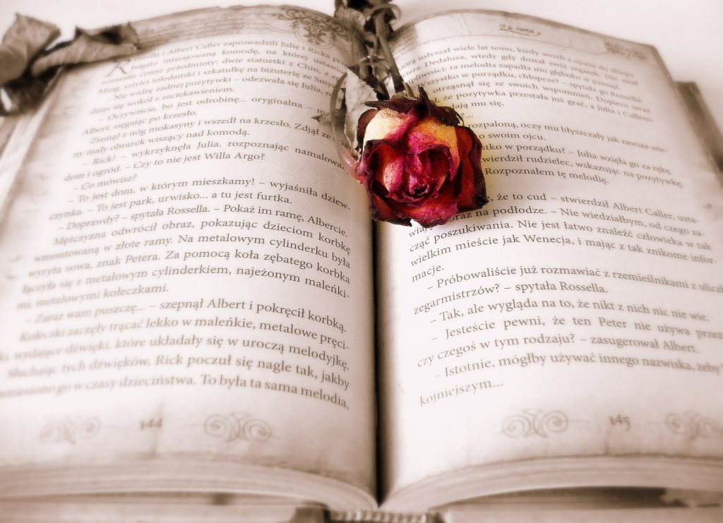 О литературе и смерти поговорят в библиотеке имени Некрасова. Фото: pixabay.com